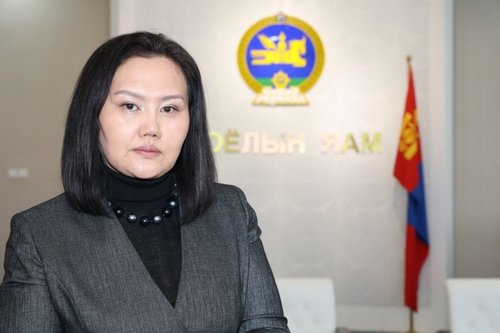 Д.Наранцэцэг: Соёлын яамнаас ном зохиолд зөвшөөрөл олгох зүйл яригдаагүй
